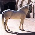 martini par principe VIII JMG couleurs