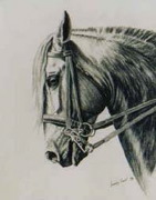 lusidressagefrancoisepicavet8r